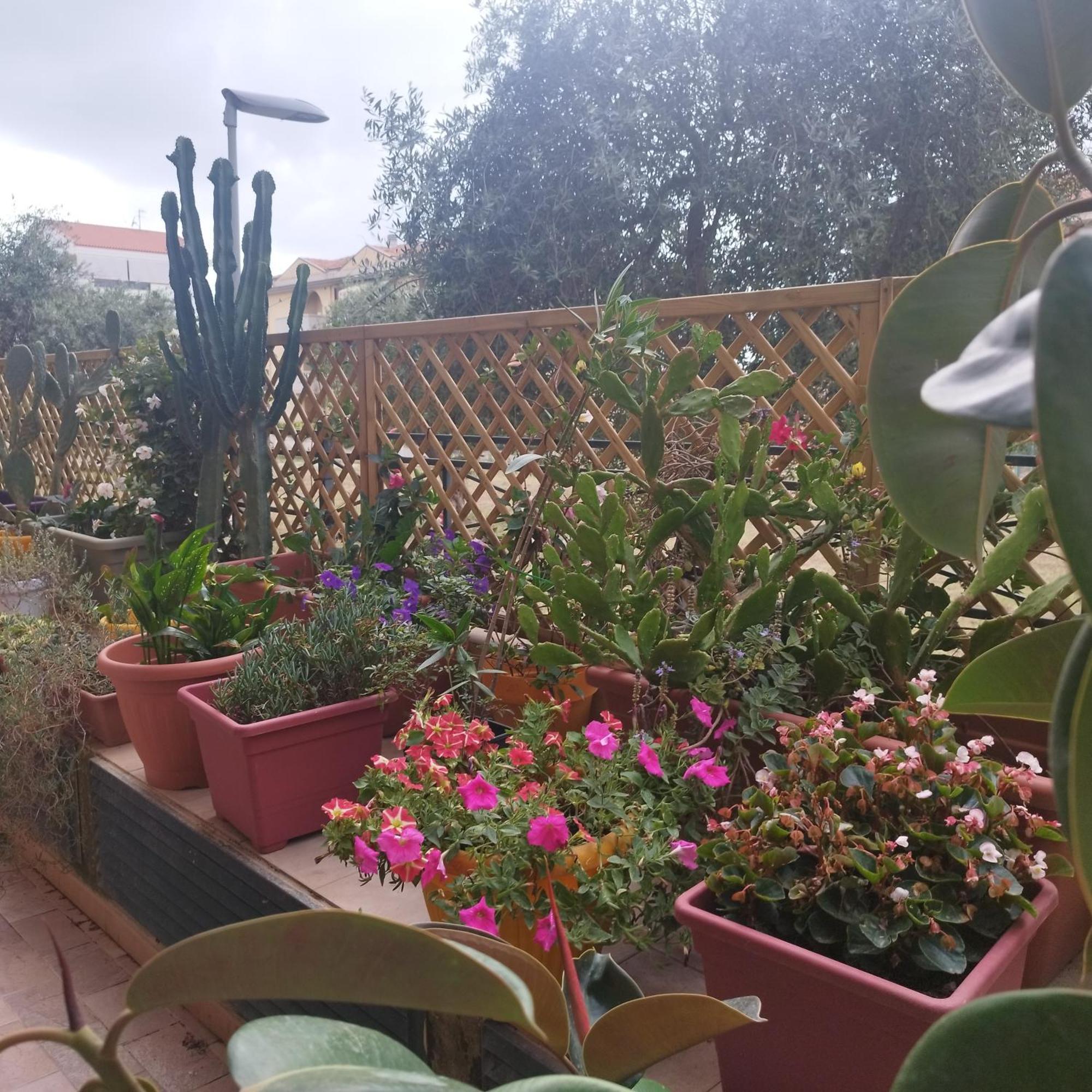 Alghero Lovely Flat Apartment Ngoại thất bức ảnh