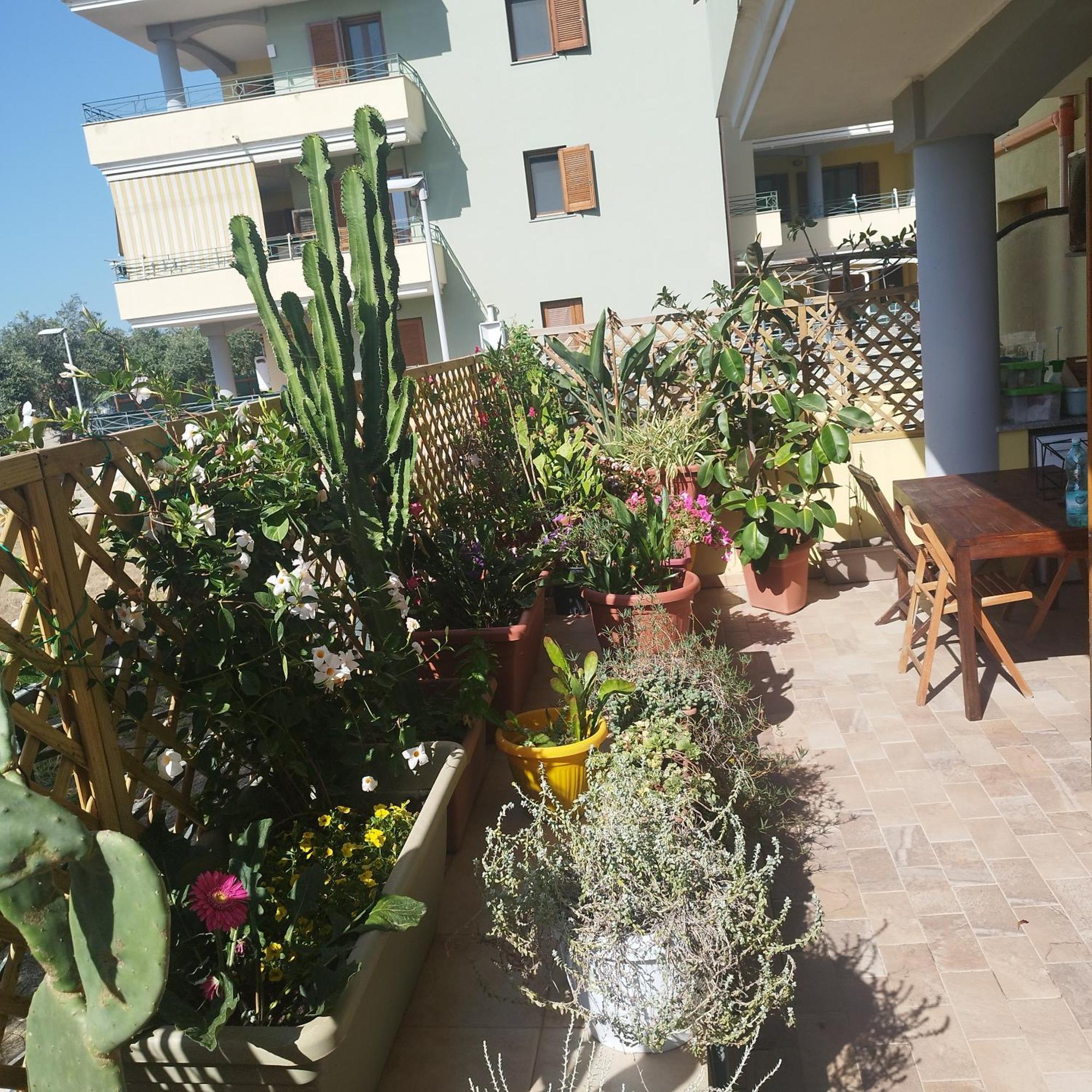 Alghero Lovely Flat Apartment Ngoại thất bức ảnh